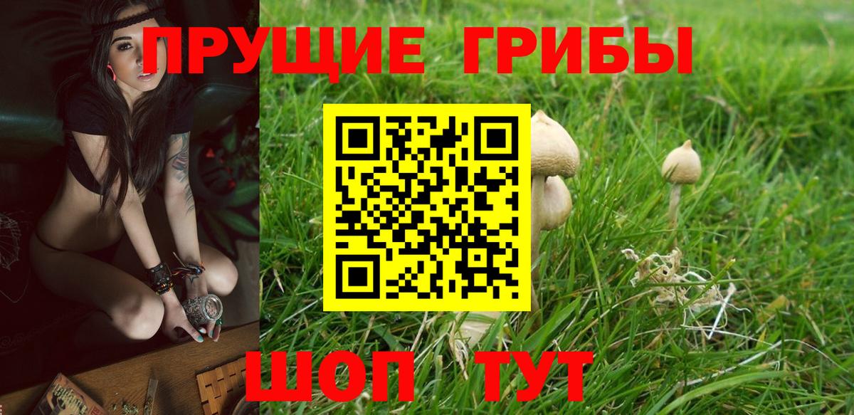 Краснодар  Галлюциногенные грибы мухоморы  Вход с VPN 